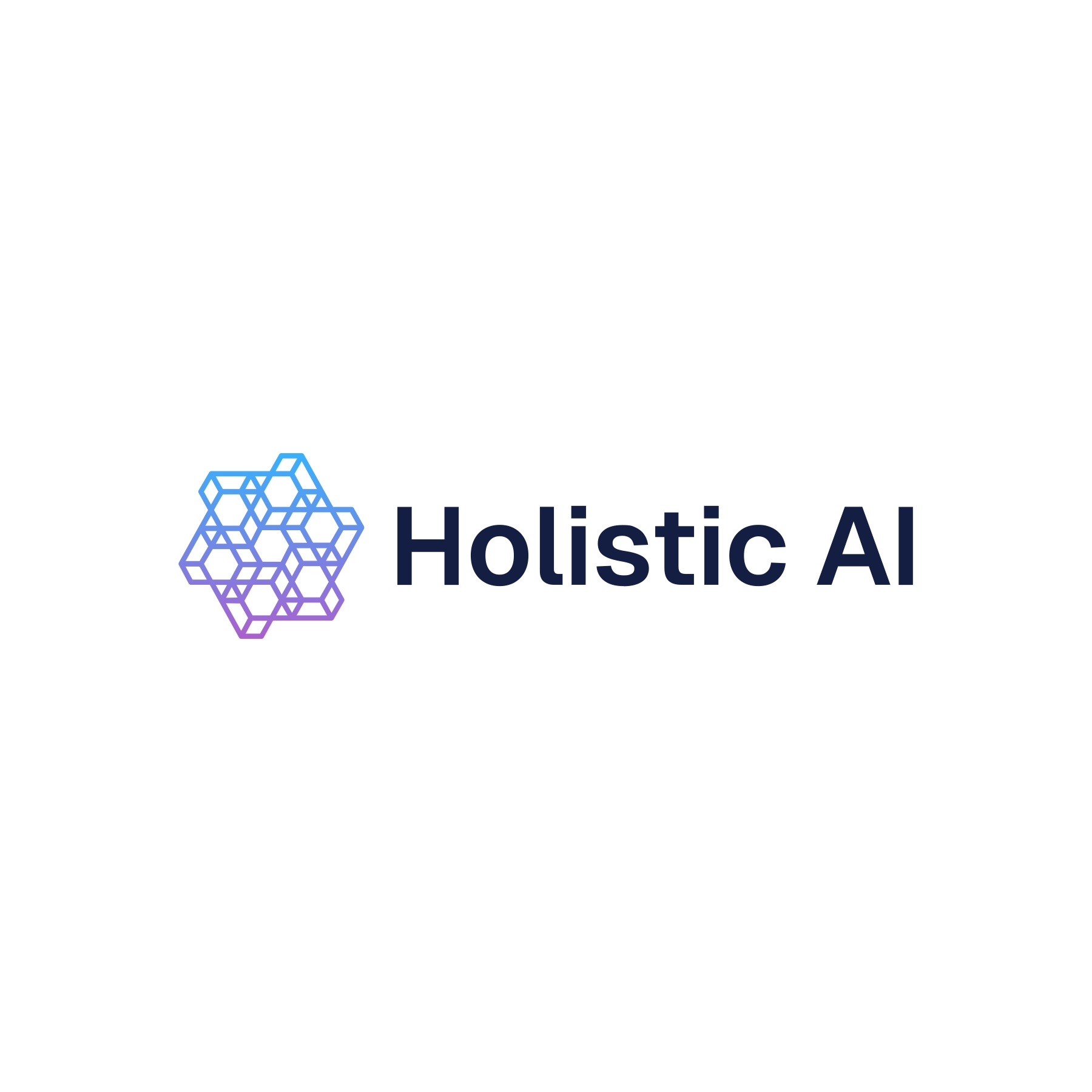 Holistic AI